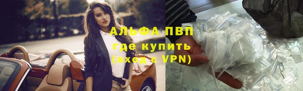 мяу мяу мука Абаза
