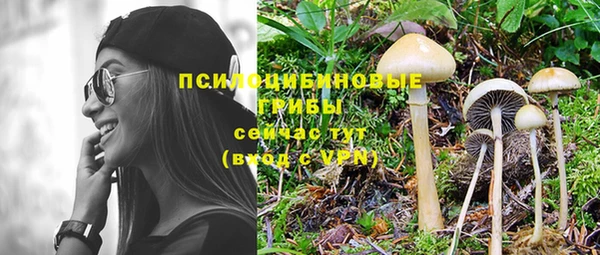 ешки Нея