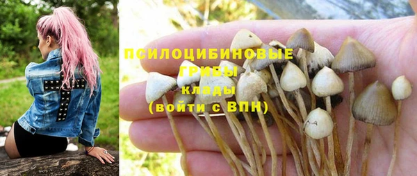 мяу мяу мука Абаза