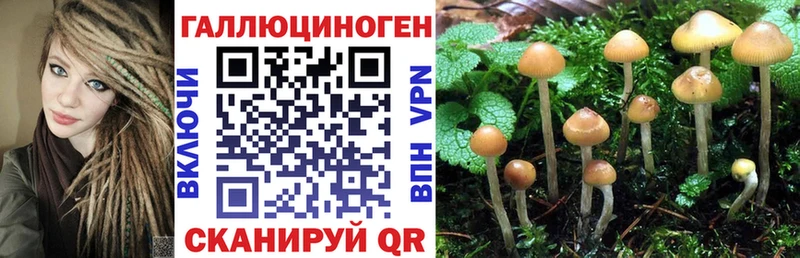 Псилоцибиновые грибы мицелий  наркота  блэк спрут ссылка  Домодедово 