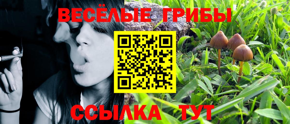 Псилоцибиновые грибы прущие грибы  магазин  наркотиков  Домодедово  Вход с VPN 