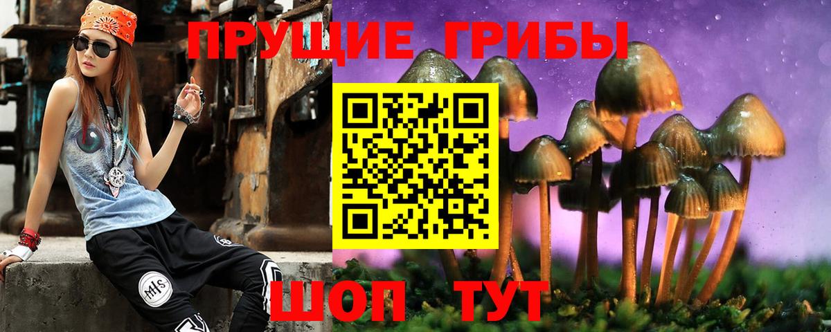 Псилоцибиновые грибы мицелий Домодедово